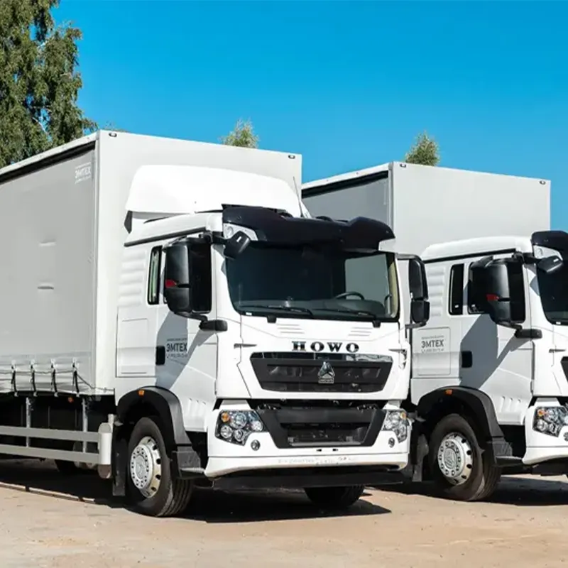 Sinotruk HOWO T5G 4x2 Cargo